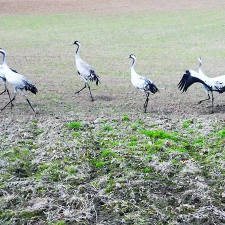 公寓 Marina Hello - Widok Na Jezioro, Piekne Wnetrze, Klimatyzacja, Winda Iława